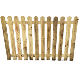 Single Paling - Lollypop